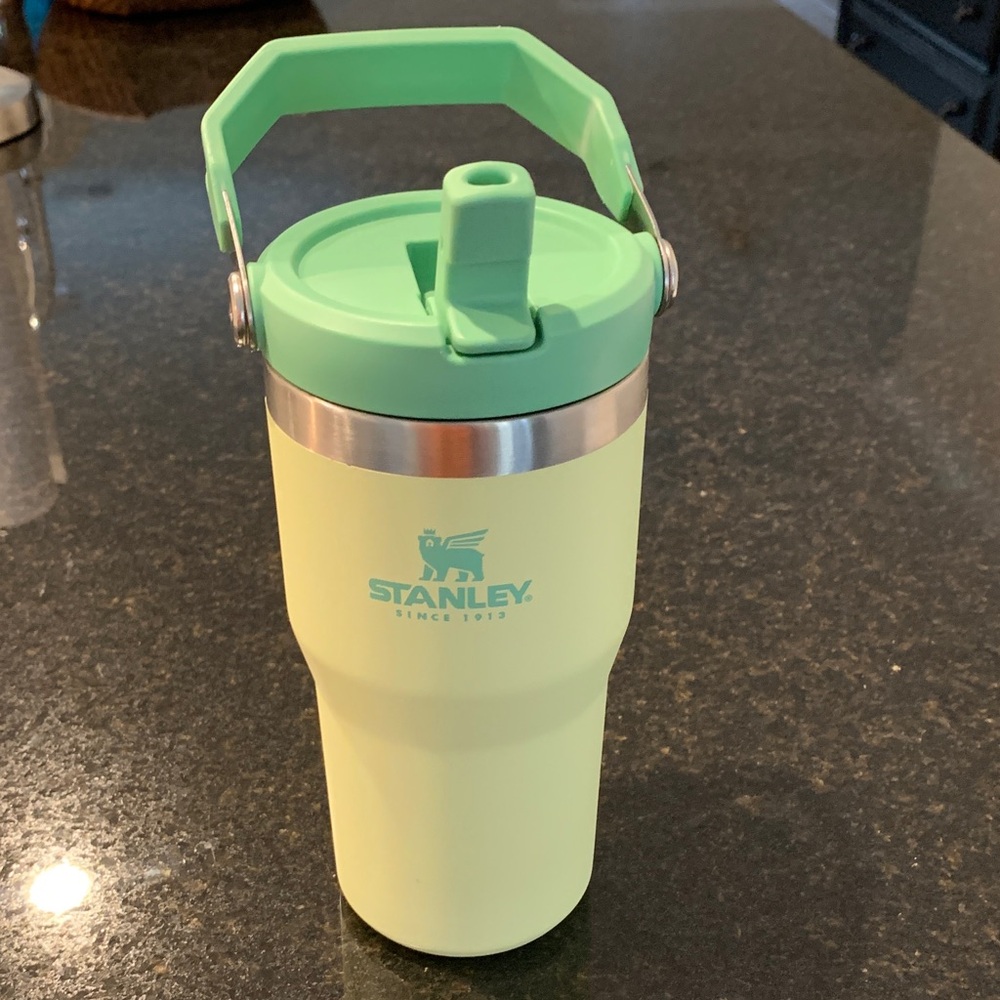 Stanley 20 oz Flip Straw